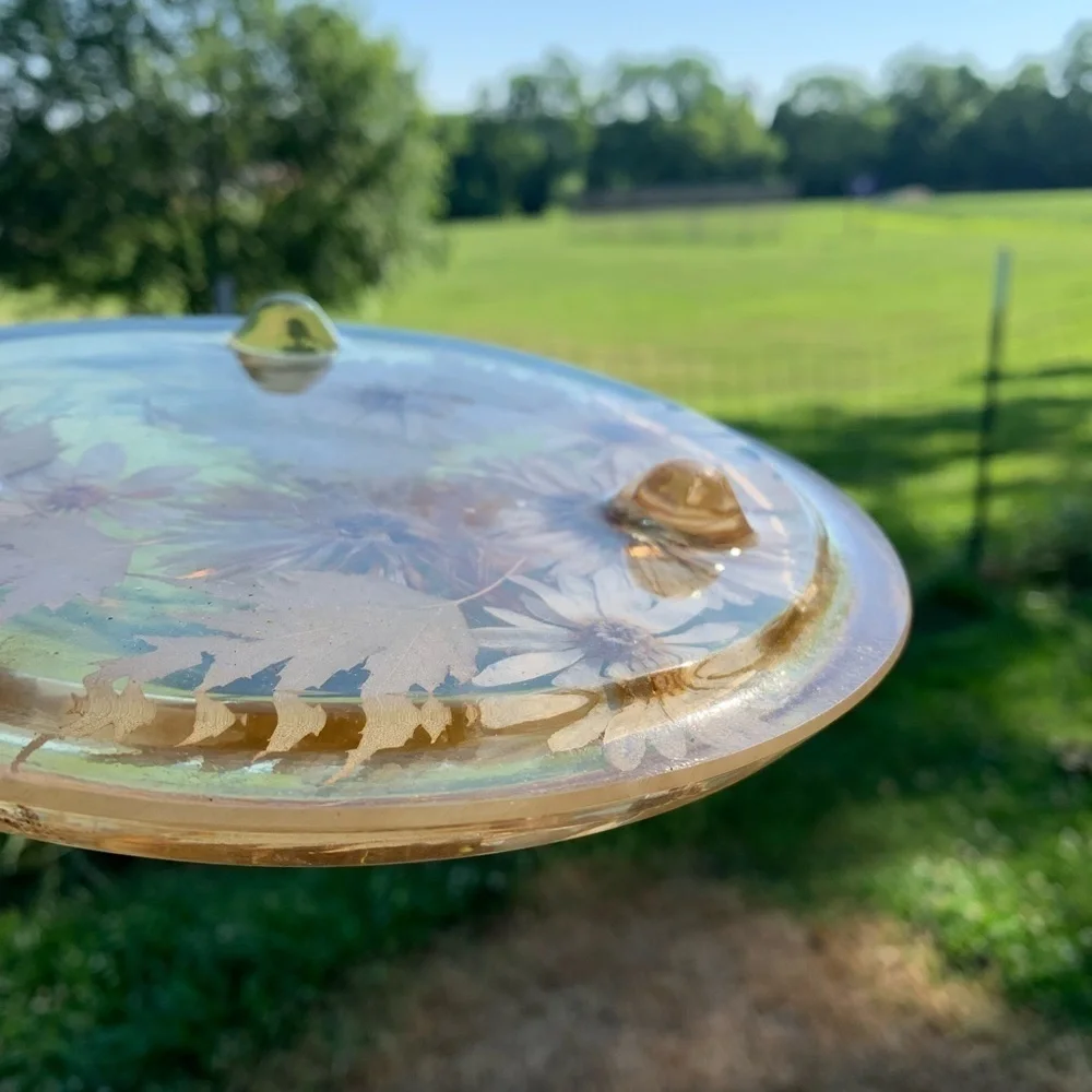 Vintage  Acrylic Lucite Dried Flowers Trivet Hot Pad